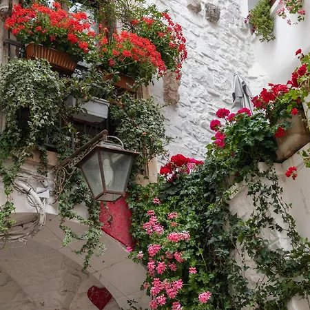 Апартаменты Il Giardino - *